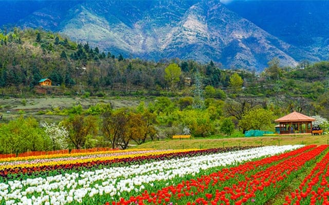 m_destination-kashmir-landscape_l_400_640